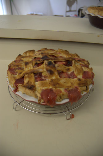 Strawberry Rhubarb Pie